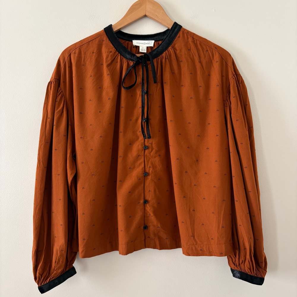 Treasure & Bond Blouse M Rust Brown Velvet Trim Tie Neck Dobby Dot Puff Sleeve